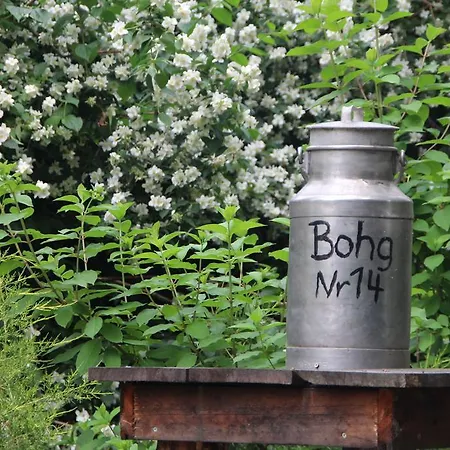 アパート Bohg ブルク